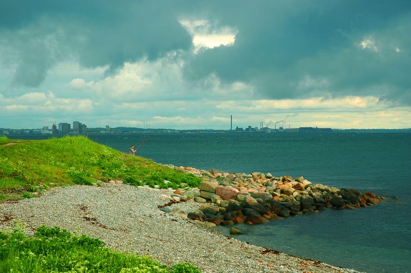 Beach south of Kronborg castle by Daniel Bergstrom