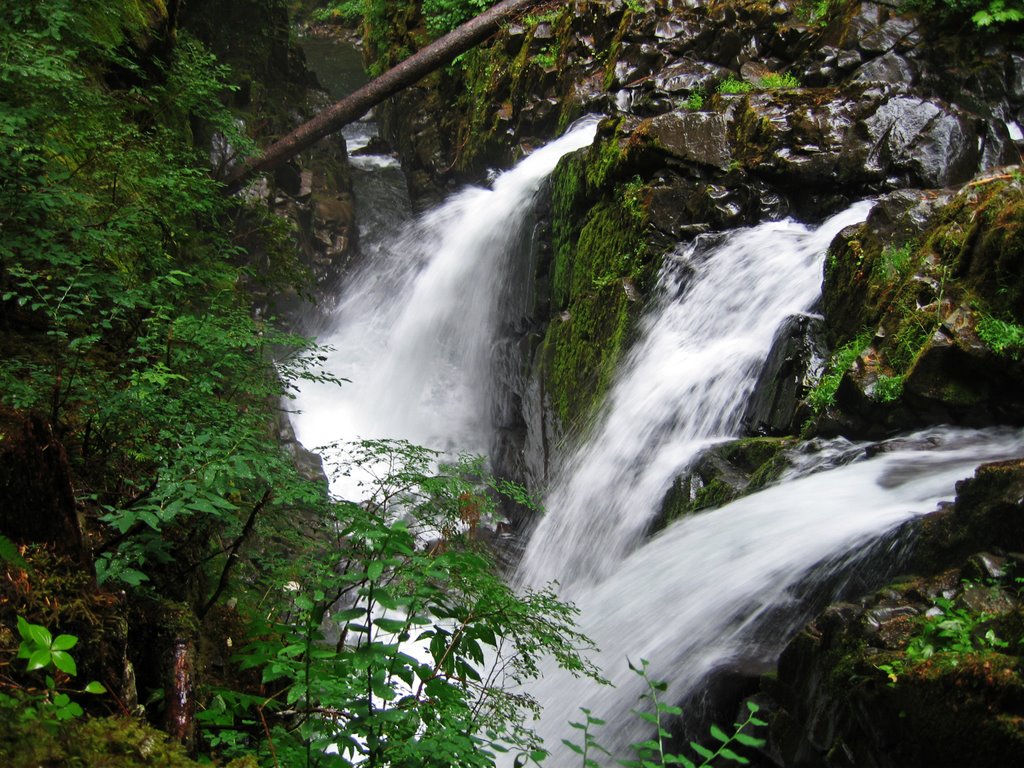 Sol Duc Falls by Matt Lemke