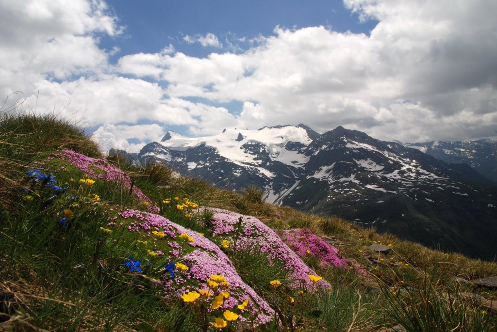 Image de Haute Maurienne by yves floret