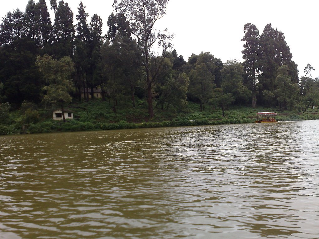 Lake side Trees by Shrung JV