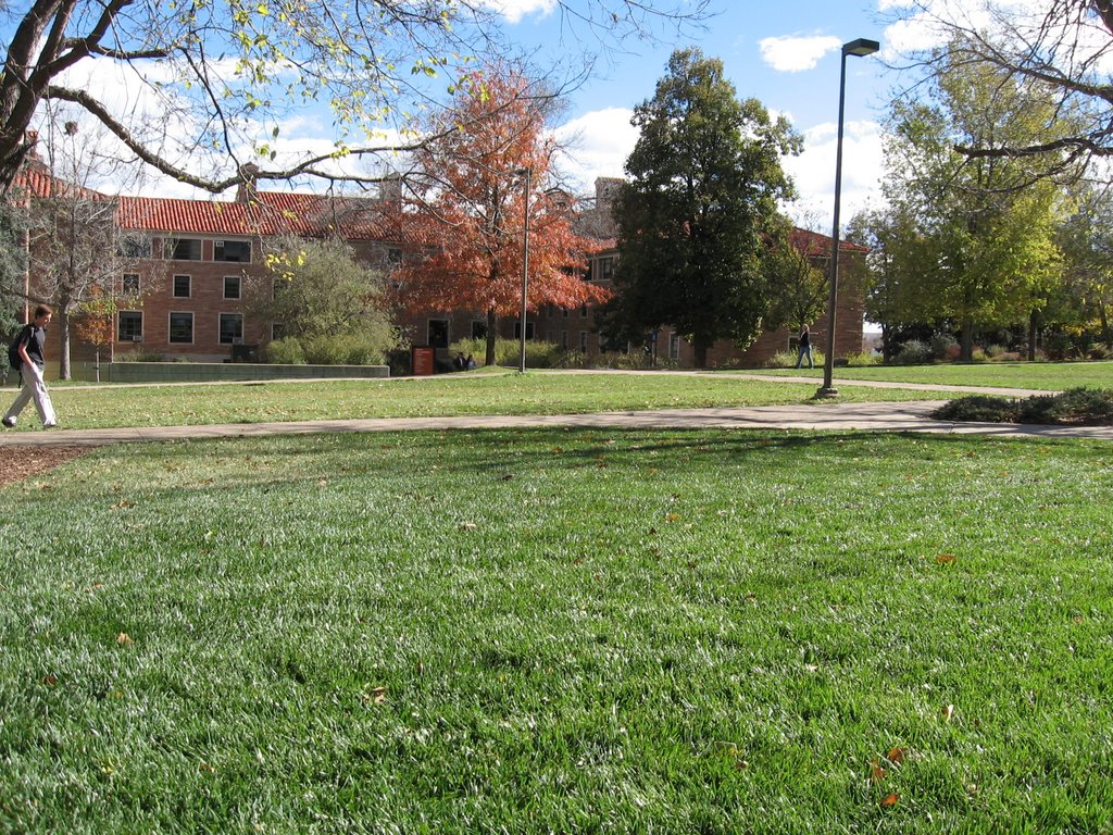 West side of Willard Hall by Surmonk