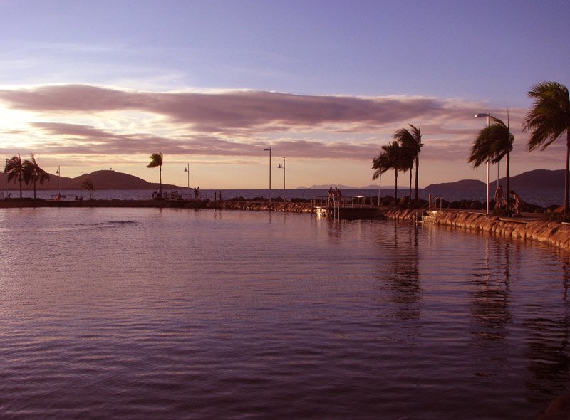 Evening at Kissing point by Al Sweet