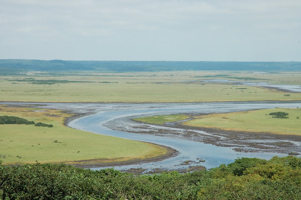 The kiritapu marsh by yu-gen