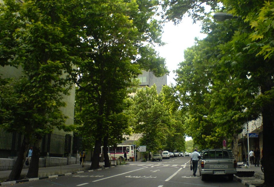 Tehran University, Tehran, Iran by Behrooz Rezvani