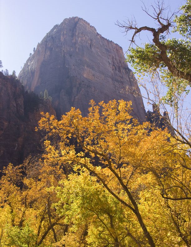 White Throne and Fall Colors by LSessions