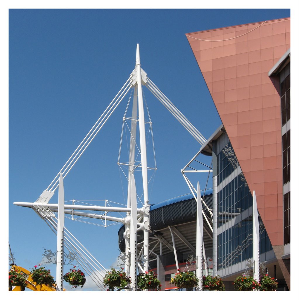 Millenium Stadium, Cardiff by Desmond Riordan