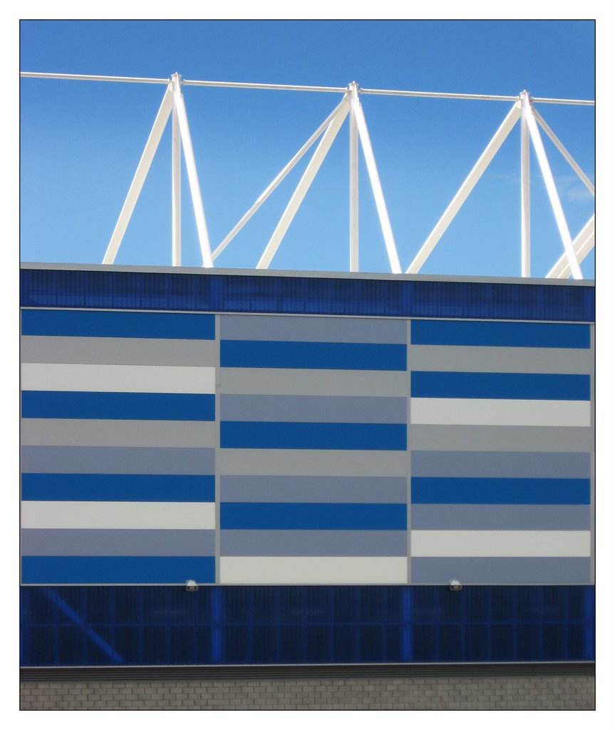 Cardiff City Stadium 2 by Desmond Riordan