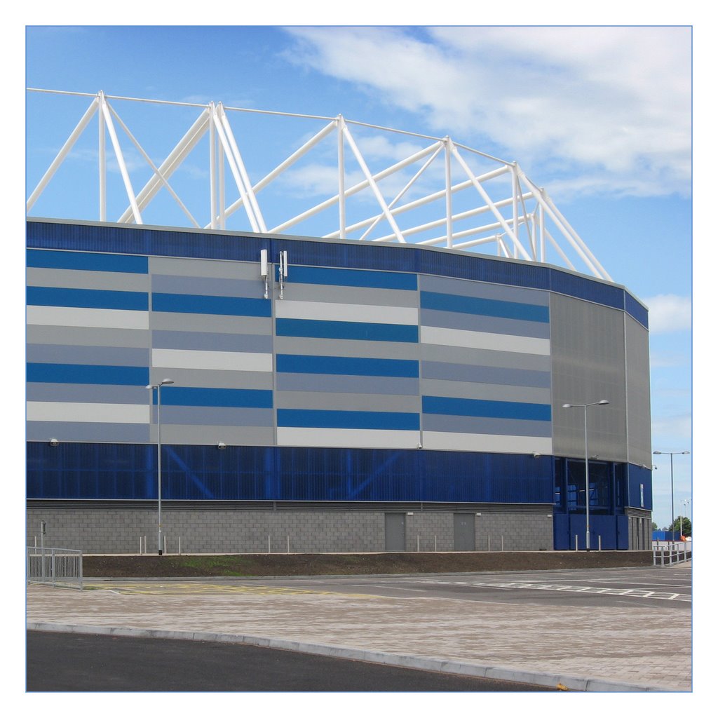 Cardiff City Stadium by Desmond Riordan