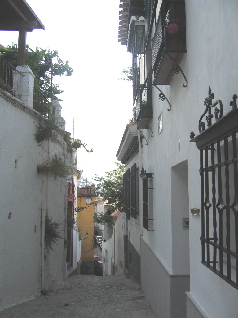 Caminando por el Realejo by Quino Cascorro