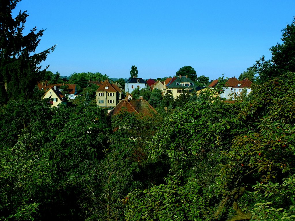 Knohlweg - Blick nach rechts by dudirad