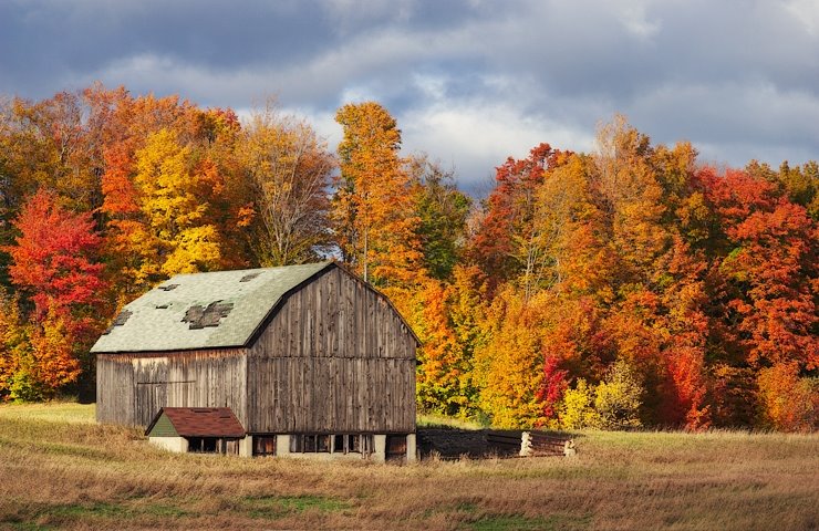 Centennial Farm On M32 by Heather McFarland