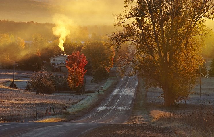 Golden Morning - Near Boyne Falls, MI by Heather McFarland