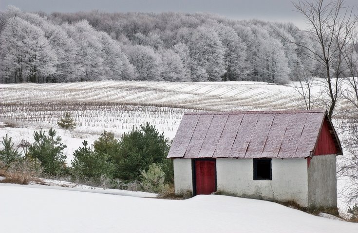 February Frosting by Heather McFarland