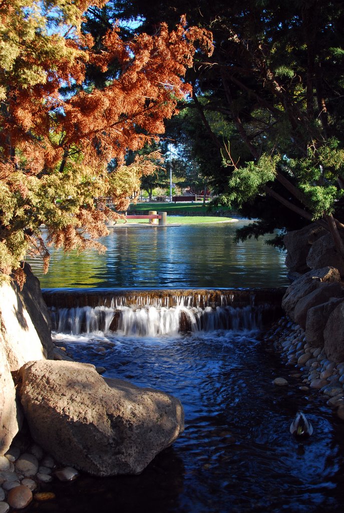 Cupertino Memorial Park by AustinC99