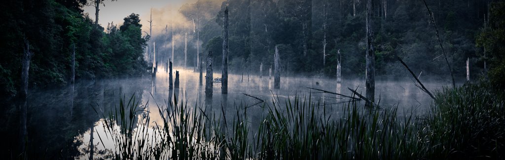 Mist on Lake Elizabeth by flyingdoc