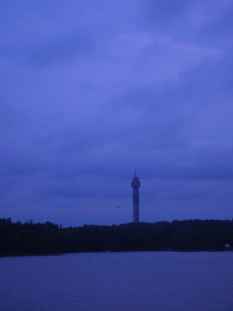 View to kaknastornet from the ferry by robbie_zombie