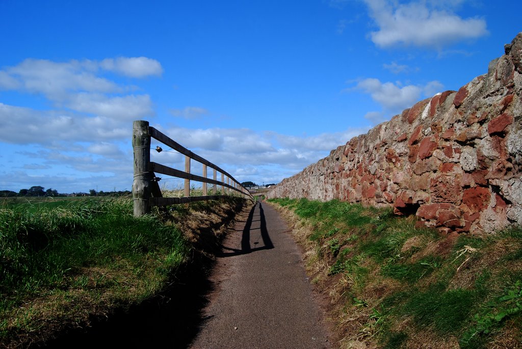 Path from Arbroath to Seaton cliffs by Unda J.