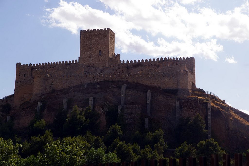 Castillo de Almansa, Siglo XIV, Albacete, Castilla la Mancha by Antonio Alba