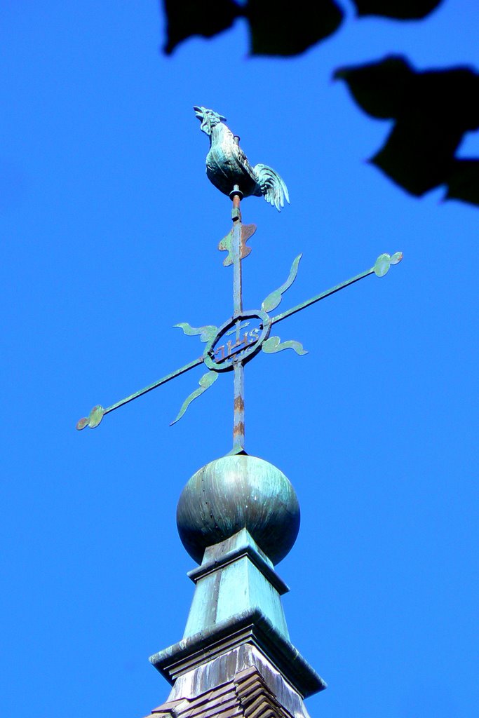 Croix et coq du clocher de Montmorot (Jura) by Alain TREBOZ