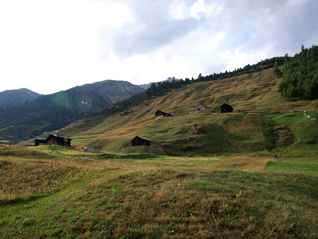 Livigno (SO) - Al calar del giorno la natura si riprende la valle by Giancarlo Ticozzi