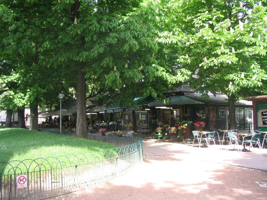 Flower market across from hotel Sofitel Royal by Rusty Barnett