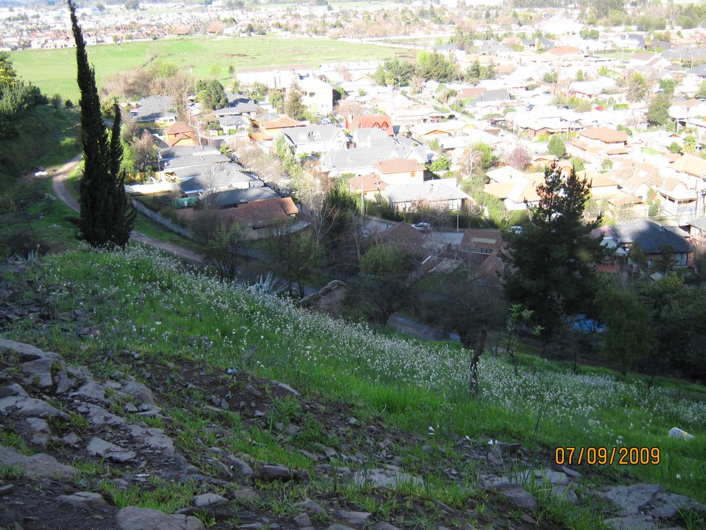 Curico Chile - Cerro Condell - Vista baja de la ciudad sector sur by Curico Chile