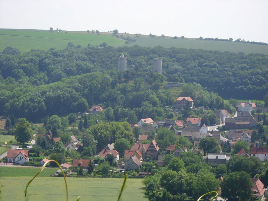 Blick auf Burg Saaleck by Rainer Denkinger