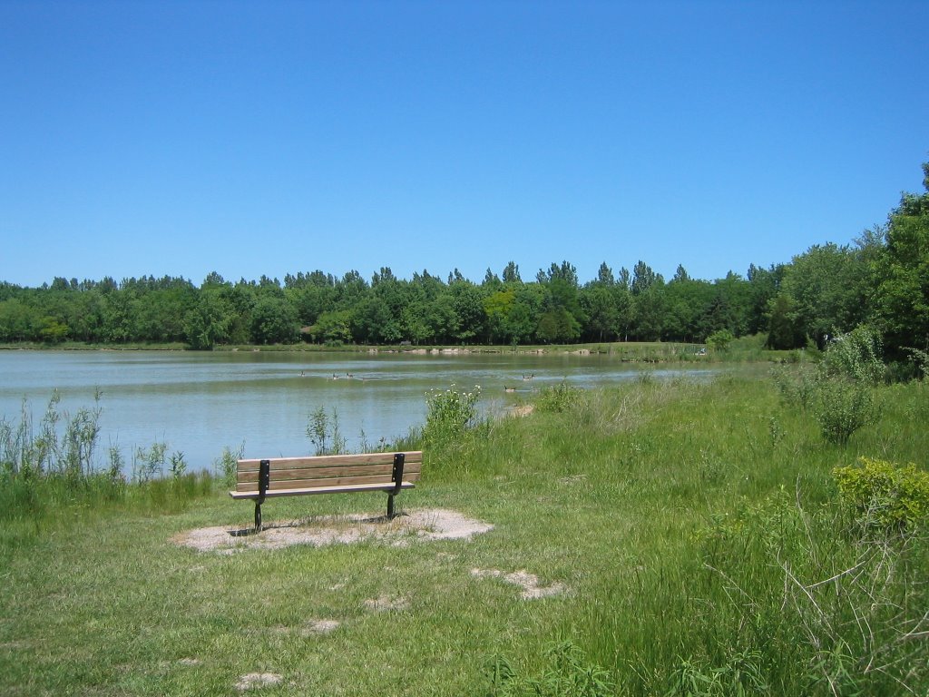 Wawanosh Wetlands by David Cail