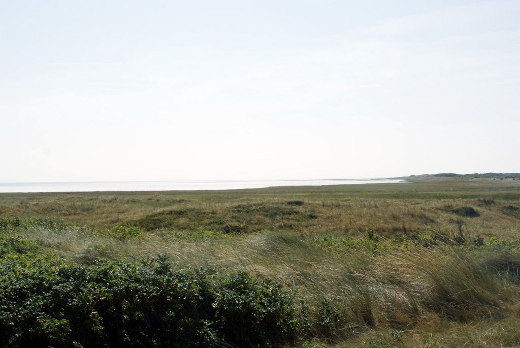 Vlieland - Polderweg - View SSE by txllxt