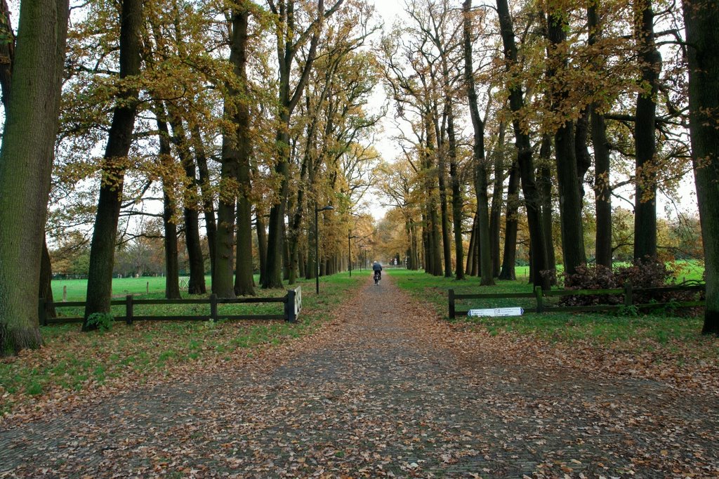 Huize Almelo: de oprijlaan, gezien vanuit het huis by michelcoumans