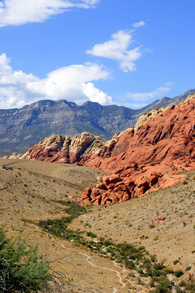 Red Rock by Bill Servati