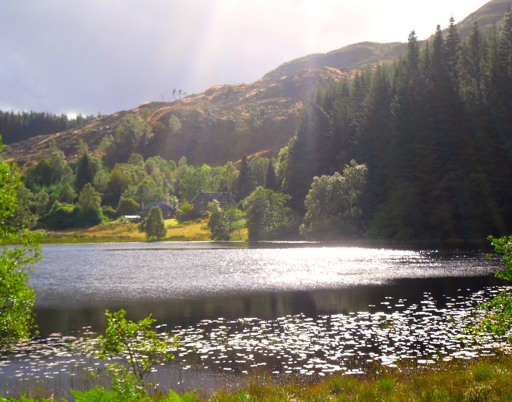 Near Loch Chon by Niall Anderson