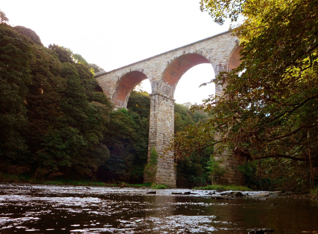 Brasside Viaduct by juanferrai