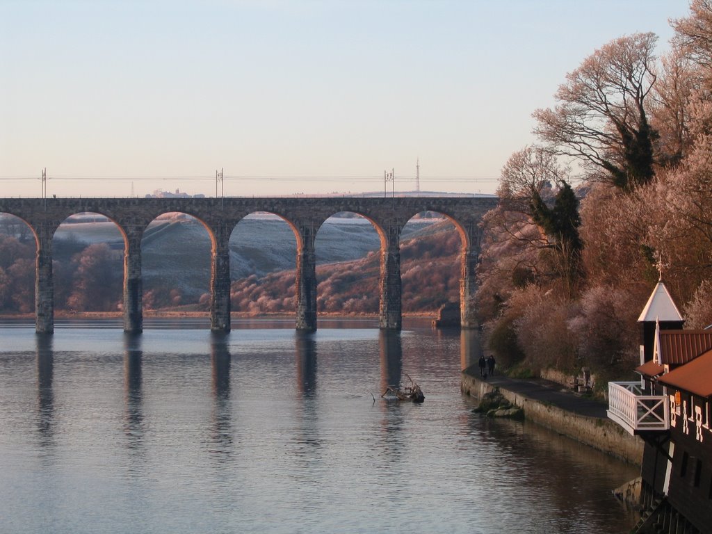 Hard Frost, The Royal Border Bridge, Berwick-upon-Tweed by miles.gregory