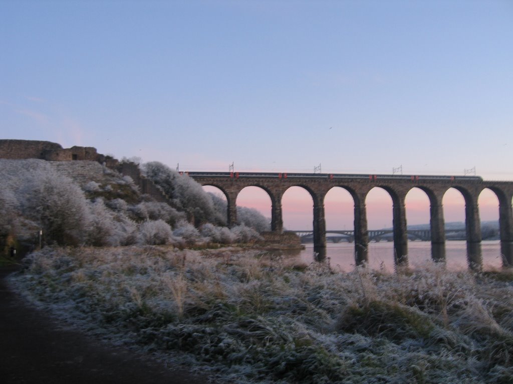 Hard Frost, Royal Border Bridge, Berwick-upon-Tweed by miles.gregory