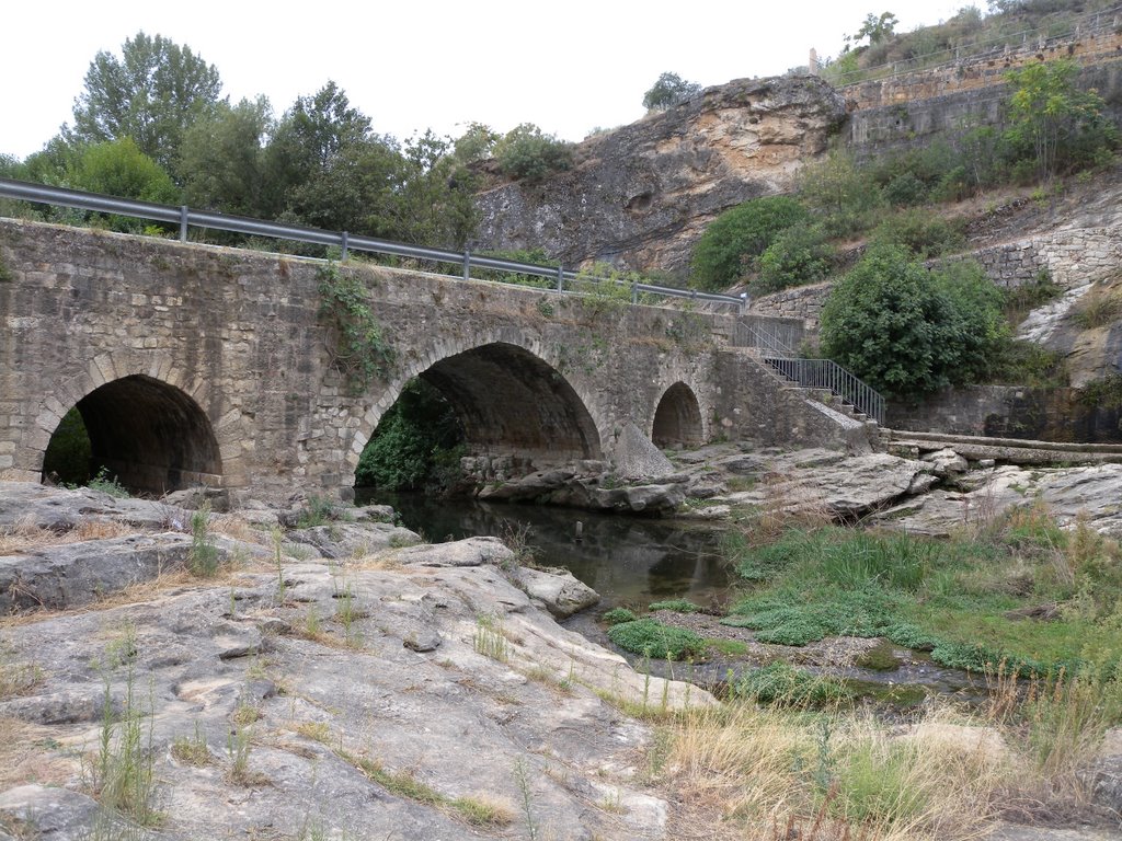 Puente sobre el Lozoya by Ricardo Ricote Rodriguez