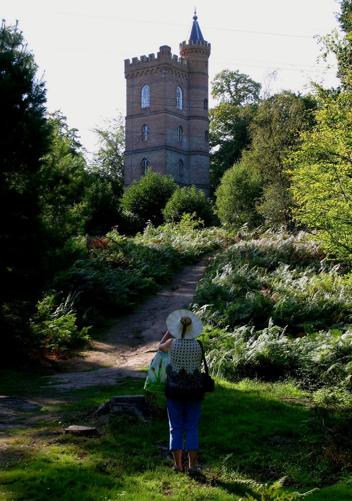 Gothic Tower - Painshill Park Cobham by Nick Knack