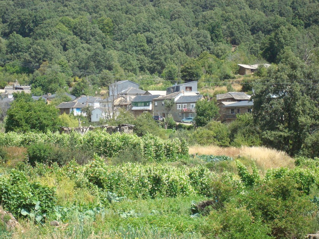 San Ciprián de Sanabria by catleti