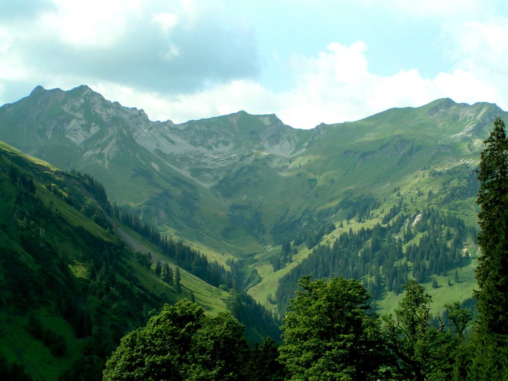 Blick ins Obertal by chayyam