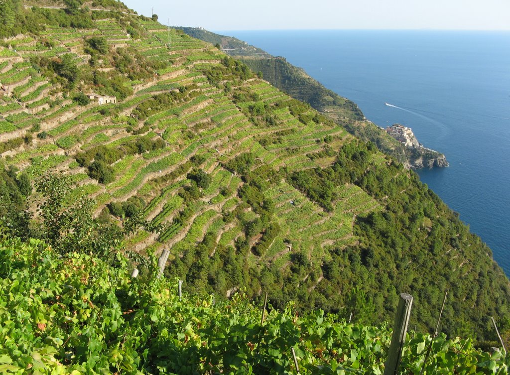 Terrassenlandschaft der Cinque Terre by ina-maria