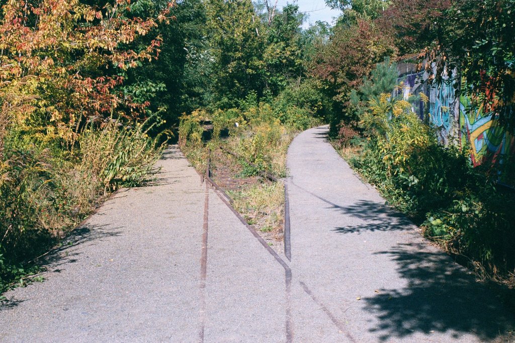 Berlin - Naturpark Schöneberger Südgelände (Sept. 2003) by Sauerlandtom