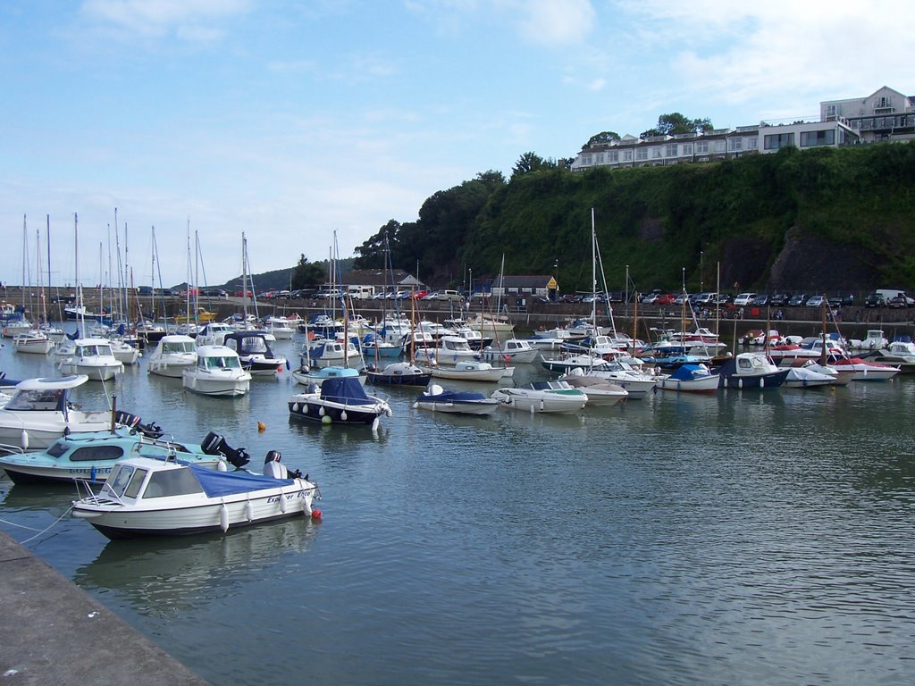 Saundersfoot Harbour by PJMarriott