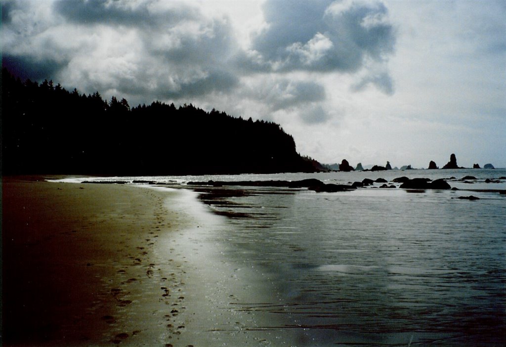 Third Beach and Taylor Point, Olympic National Park by Pamela Elbert Poland