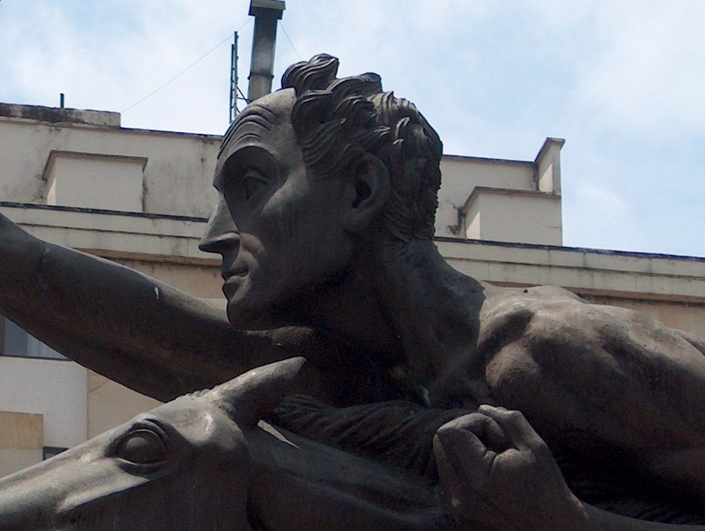 Simon Bolivar by Hector Hernando Rome…