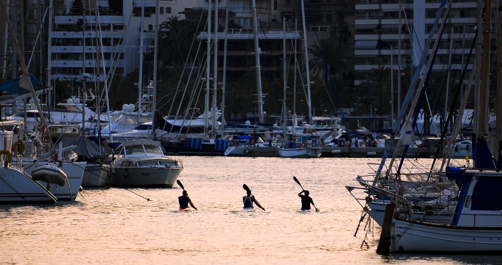 Puerto de Palma, Palma, Islas Baleares, Spain by gmateos