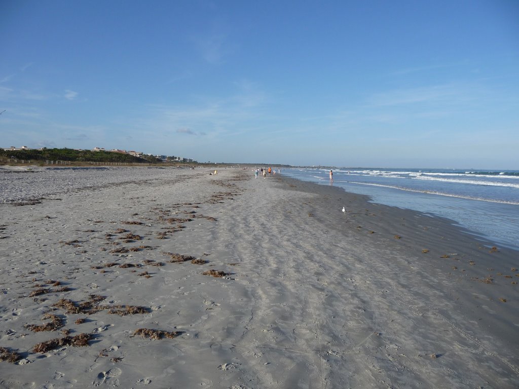 Cape Canaveral Beach Looking North by jdoggi53