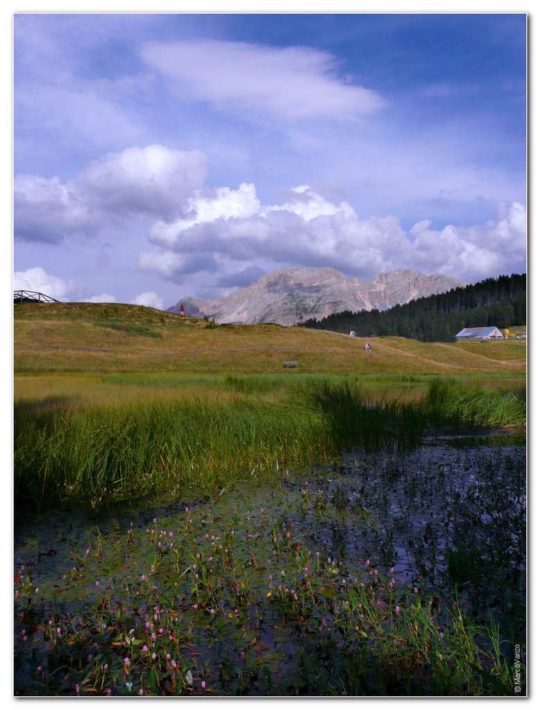 Il lago di Lavazè , verso il Latemar - Dedicata ad Ilda by ► Marco Vanzo