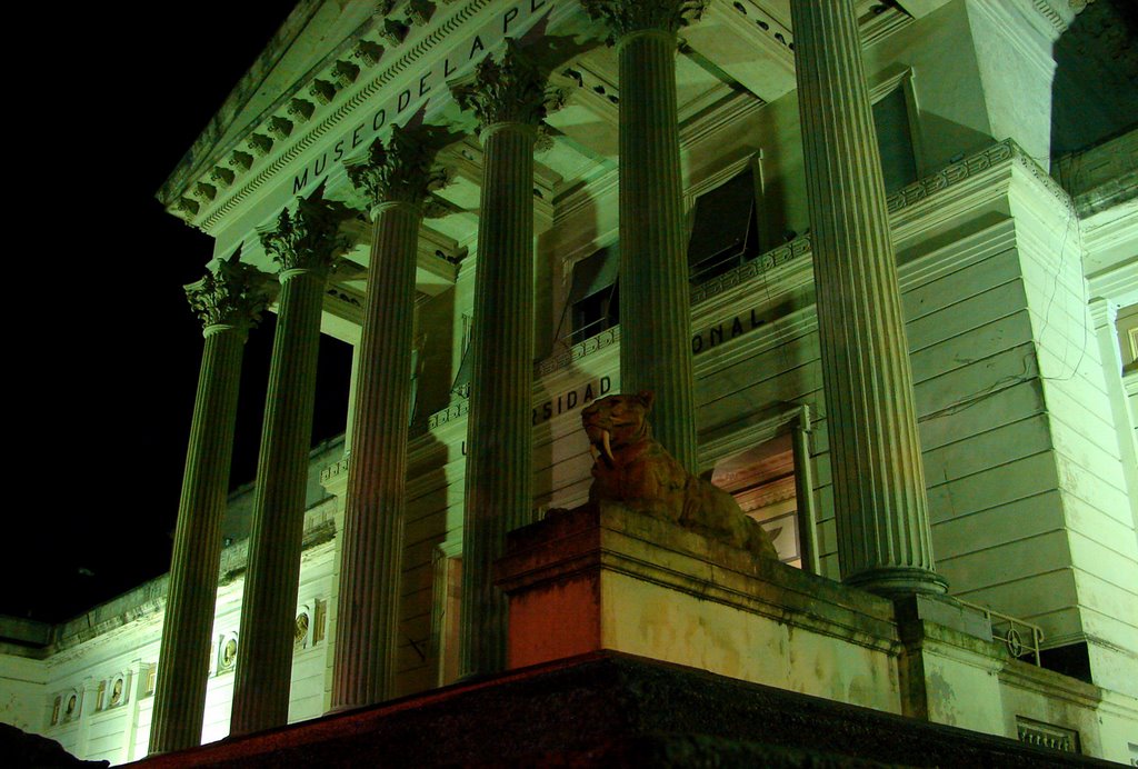 Museo de Ciencias Naturales de La Plata (Bosque) by nicolas1400