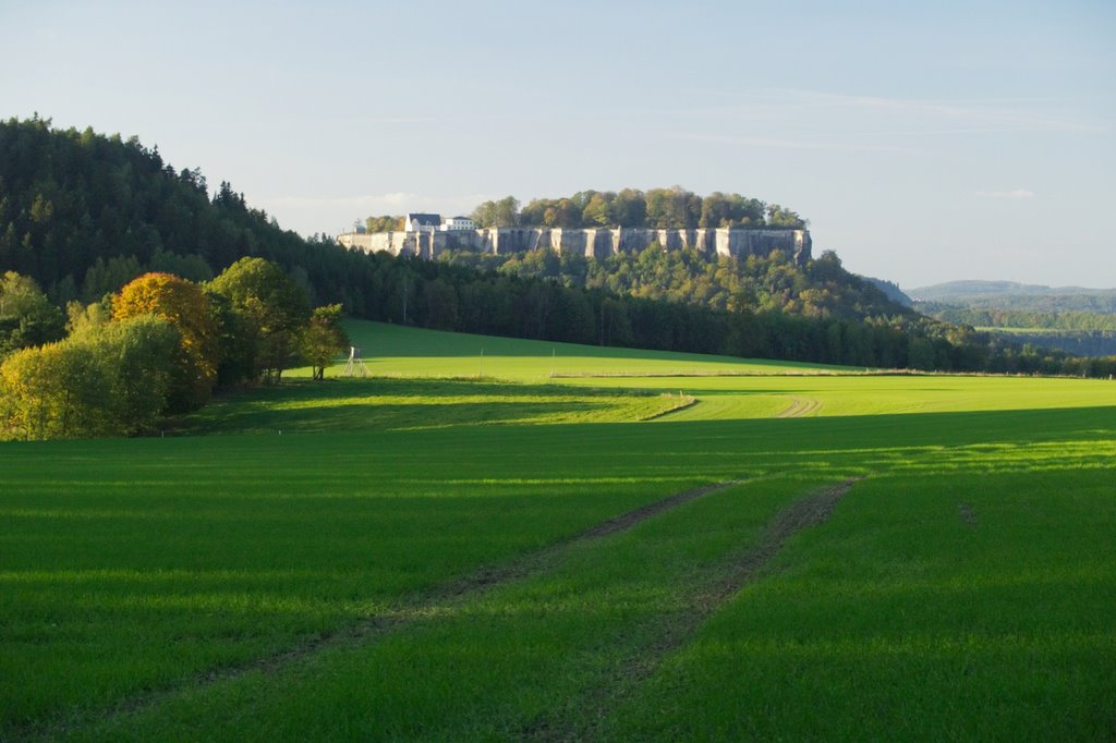 Festung Königstein in der Abendsonne by curio77