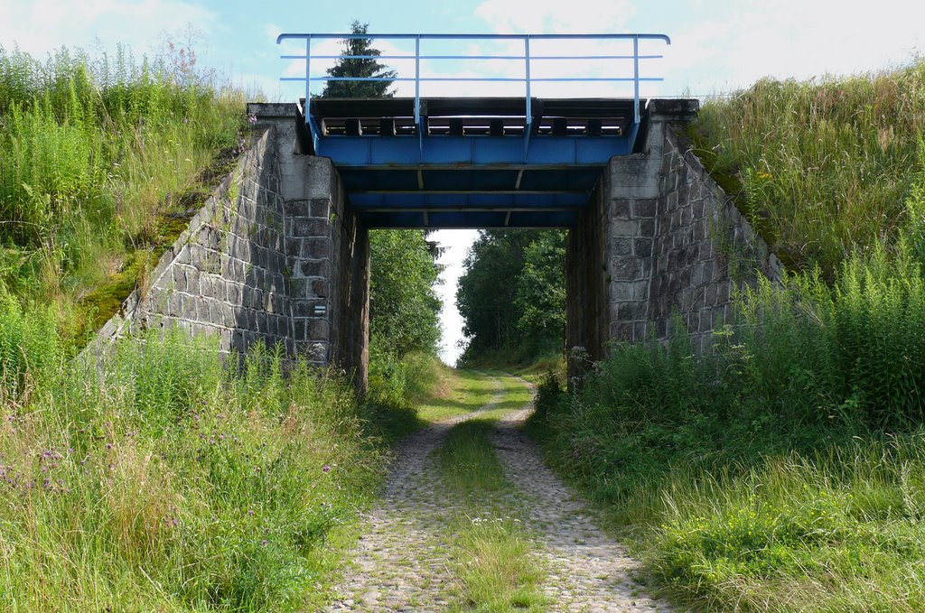 Brzeźnica, train flyover by Kazkar